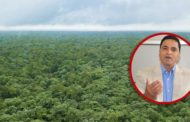 निजगढमा पस्न लागेको विकासे रातो अरिंगालको चर्चा