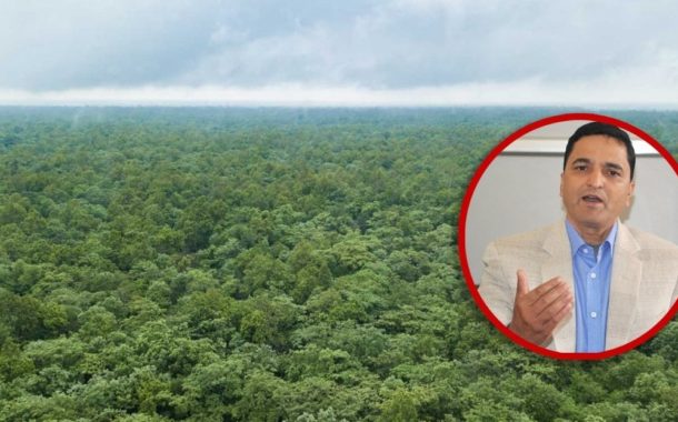 निजगढमा पस्न लागेको विकासे रातो अरिंगालको चर्चा