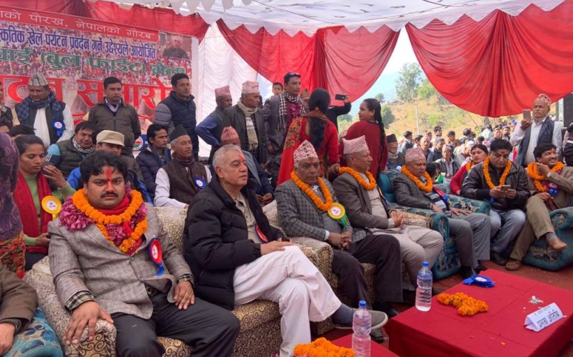 नुवाकोटमा यस वर्ष ५० हल गोरु जुधाइ