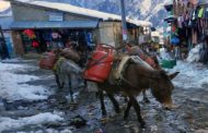 हुम्लामा ग्यास सिलिन्डरको मुल्य १२ हजार ५ सय रुपैयाँ