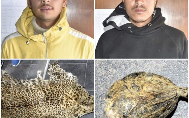 चितुवाको छाला र भालुको पित्तसहित २ जना पक्राउ
