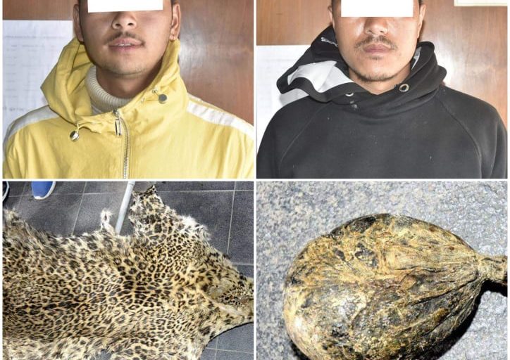 चितुवाको छाला र भालुको पित्तसहित २ जना पक्राउ