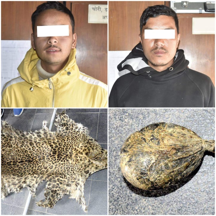 चितुवाको छाला र भालुको पित्तसहित २ जना पक्राउ