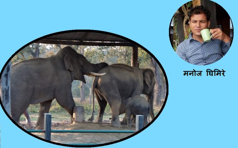 रोनाल्डोको ससुराली