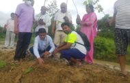 खेलमैदान जोगाउन वृक्षारोपण