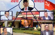 नेकपा झगडाः समाधानका लागि महासचिवको नेतृत्वमा कार्यदल