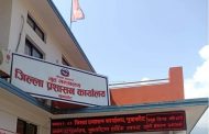 नुवाकोट प्रशासनद्धारा औषधी पसलमा छापा