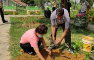 वातावरण दिवसमा बृहत बृक्षारोपण महाअभियान