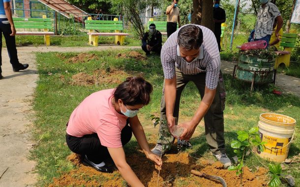 वातावरण दिवसमा बृहत बृक्षारोपण महाअभियान