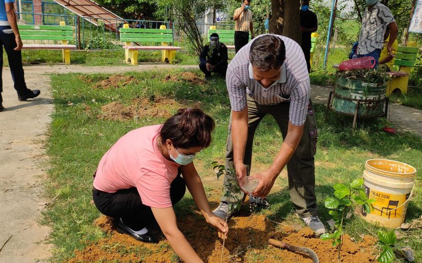वातावरण दिवसमा बृहत बृक्षारोपण महाअभियान
