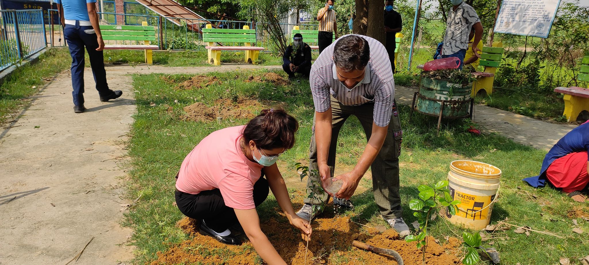 वातावरण दिवसमा बृहत बृक्षारोपण महाअभियान