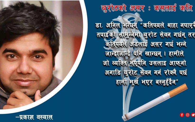 चुरोटको असरः कसलाई कति ?