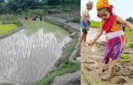 आज धान दिवसः खेतमा किसान (सामाजिक सञ्जालमा भेटिएका केही तस्बिर)