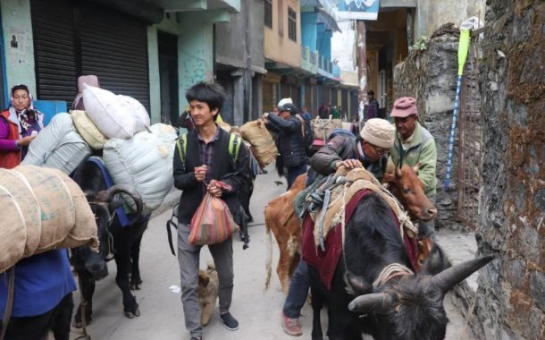 कुञ्चा सर्दै व्याँसी सौका