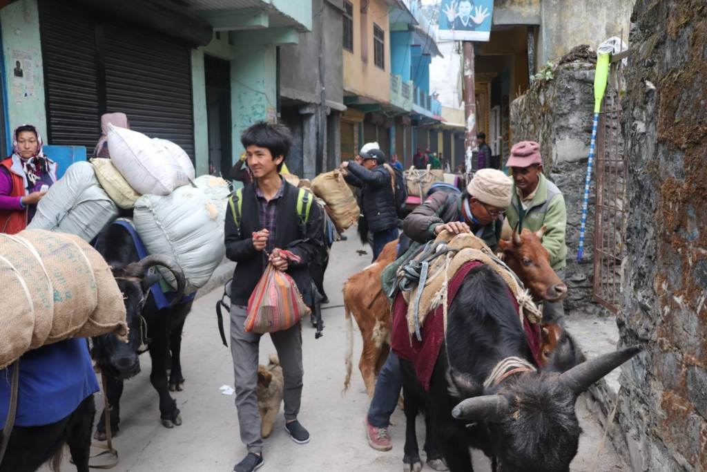 कुञ्चा सर्दै व्याँसी सौका