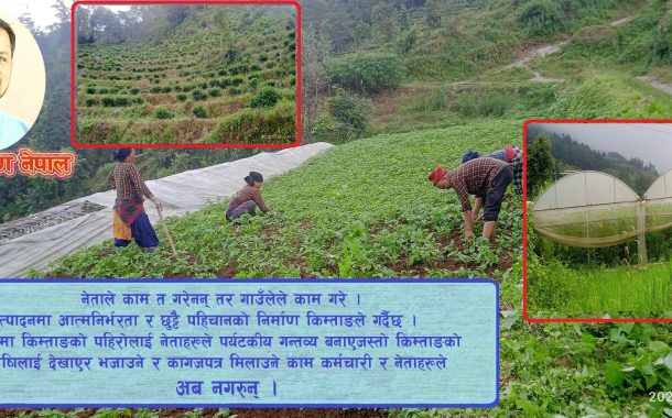 कृषि क्रान्तिको 'किम्ताङ मोडल'
