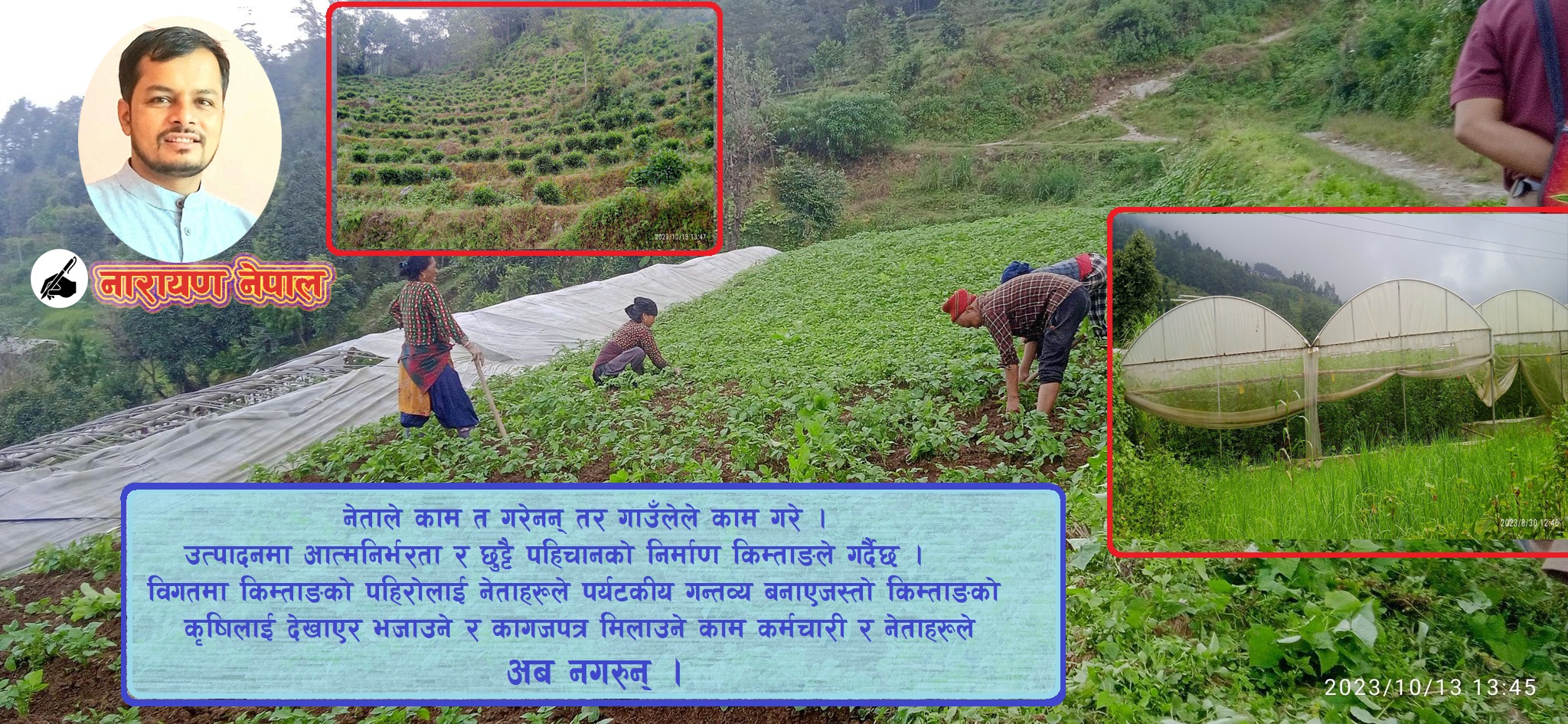 कृषि क्रान्तिको 'किम्ताङ मोडल'